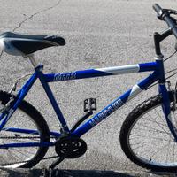 Bicicletta-mountain bike