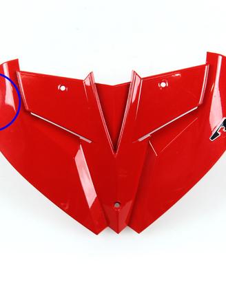 Cupolino BENELLI TNT 899