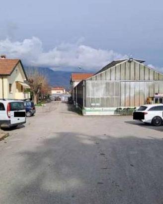 Immobile in asta di 8506 m² con più di 5 locali a 