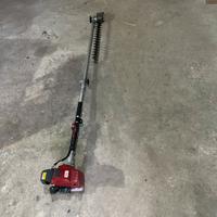 Taglia siepi telescopico professionale