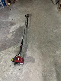 Taglia siepi telescopico professionale