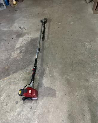 Taglia siepi telescopico professionale