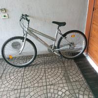 monte bike 