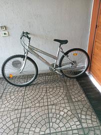 monte bike 