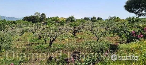 Terreno agricolo 3.200mq zona doc a castiglione - Altro