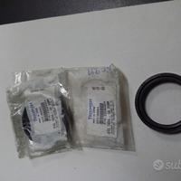 Paraoli forcella Speed triple daytona