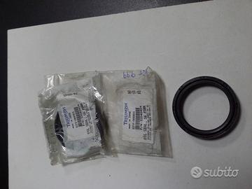 Paraoli forcella Speed triple daytona