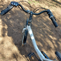 Bici elettrica con pedalata assistita