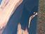 Immagine 22