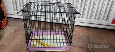 gabbia uccelli