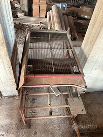 Cernitrice olive a movimento