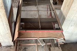 Cernitrice olive a movimento