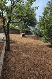 Uras- Semindipendente con ampio cortile