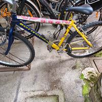bici bottecchia 