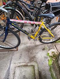 bici bottecchia 