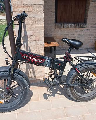 Bicicletta elettrica 