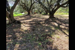 Terreno Marina di camerota