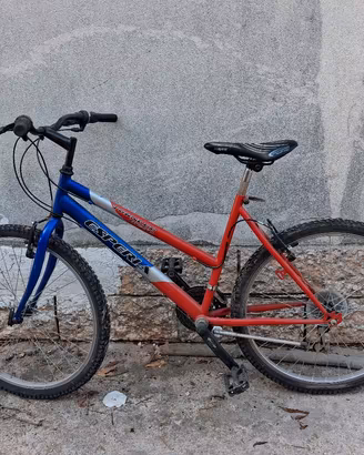 Muontain bike
