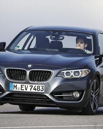 Ricambi usati bmw serie 2 2014 #b