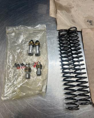 Kit molle e pompanti honda cbr 600 2008/15