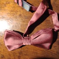 papillon 