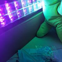 Luce UV Luce nera Luce WOOD nuova blacklight
