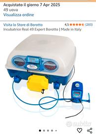 INCUBATRICE  BOROTTO 49