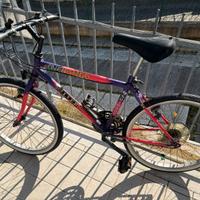 Bici vintage anni ‘90