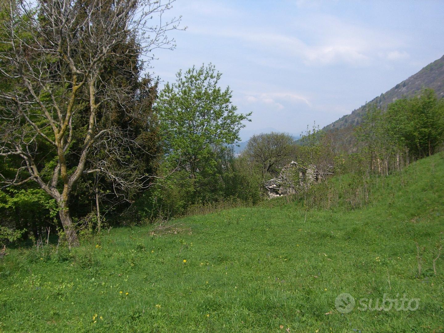 Terreno edificabile/agricolo in Valle d'Intelvi - Vista 2