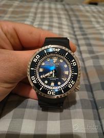 Citizen acqualand edizione limitata