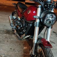 Leoncino Benelli  500 Trail 2023