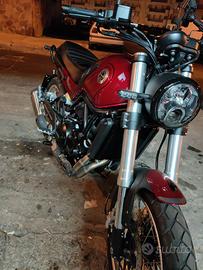 Leoncino Benelli  500 Trail 2023