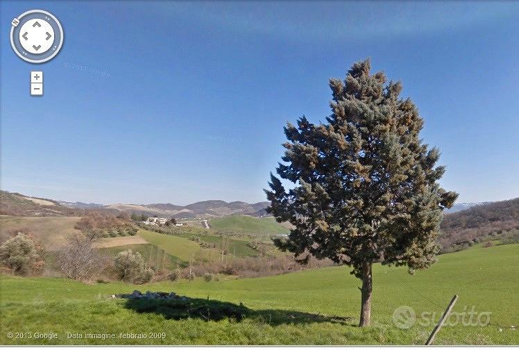 Terreno con casa colonica - Vista 3