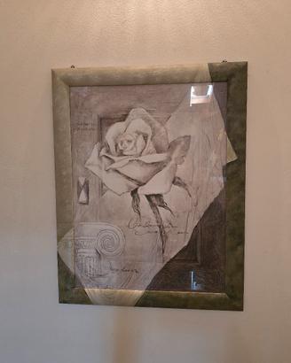 quadro 