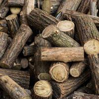 legna di ciliegio da ardere