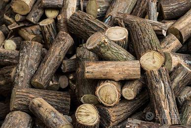 legna di ciliegio da ardere