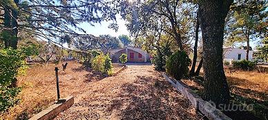 Villa in martina franca zona presidente