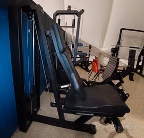 Leg Extension