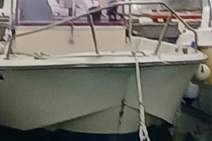 barca 5.50 tonnetto con motore 70 cv johnson 