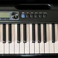 tastiera Casiotone CTs300