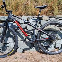 Specialized world cup 29 carbon 2018