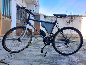 Bicicletta  Mountain bike 