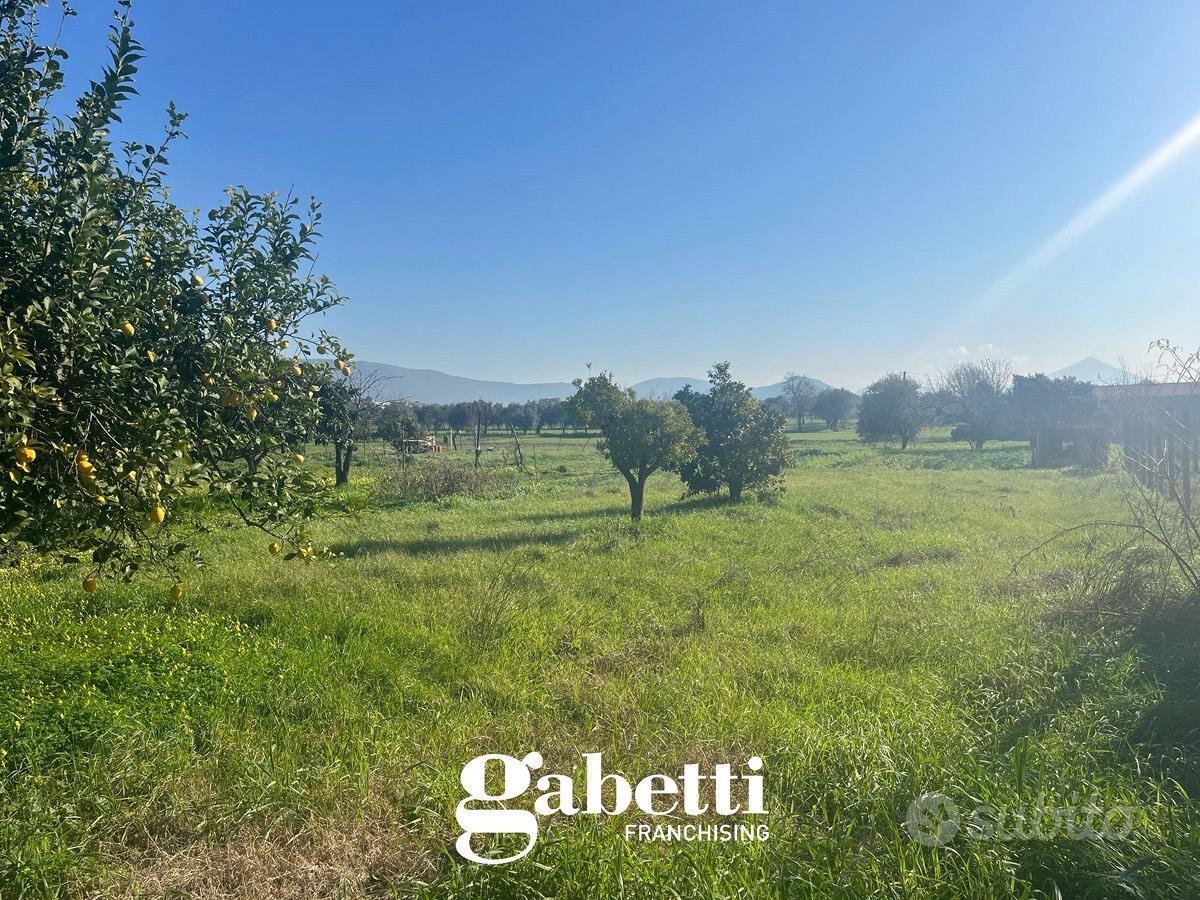 Terreno Agricolo Pignataro Maggiore - Vista 3