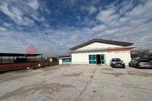 Magazzino Anagni [Cod. rif 3292222ACG]