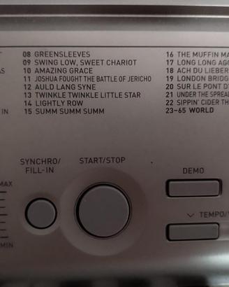 tastiera Casio LK-125 con supporto