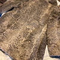 Splendida pelliccia di Breitschwanz  argento