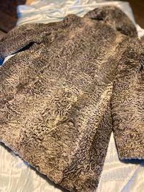 Splendida pelliccia di Breitschwanz  argento