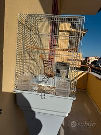 Gabbia per pappagalli