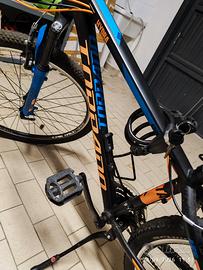 bici torpado
