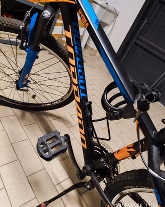 bici torpado
